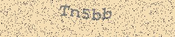 An error has occurred while getting captcha image