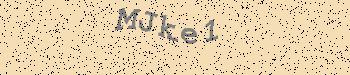 An error has occurred while getting captcha image
