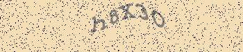 An error has occurred while getting captcha image