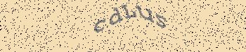 An error has occurred while getting captcha image
