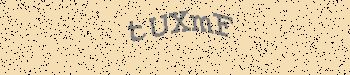 An error has occurred while getting captcha image