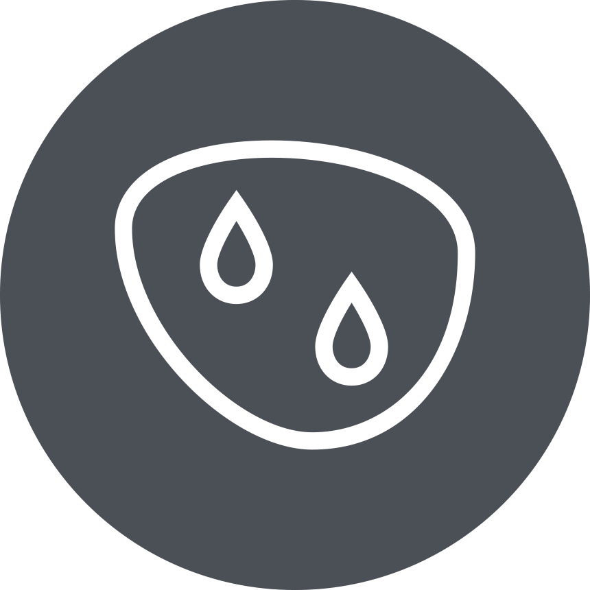 Meiryo Control I icon  STX  2025.png