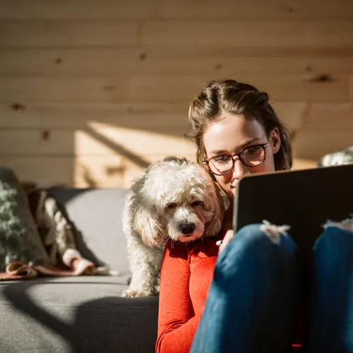 Femme et son chien regardant sa tablette
